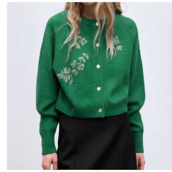Zara Sweaters Zara Wool Blend Beaded Knit Cardigan Poshmark